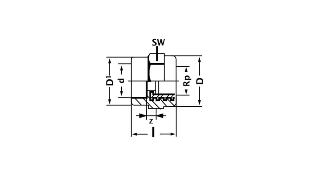 Adaptor Socket Female Thread | EGIC